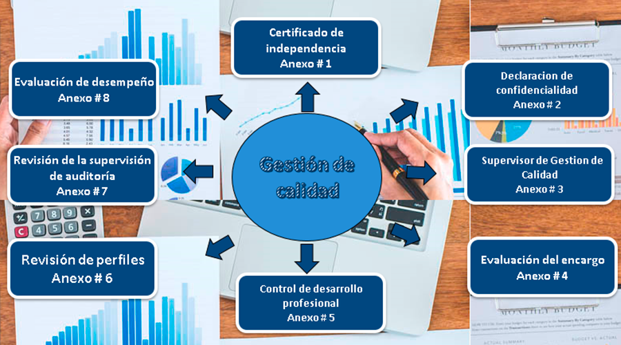 Herramienta Integral Para El Ejercicio De La Revisoría Fiscal